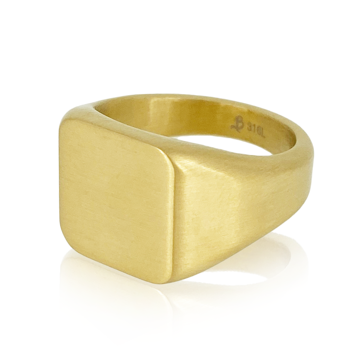 ✨SALE✨10k Gold Filled 21号 シグネットリング シグネットリング / BSR-360 – BLESS