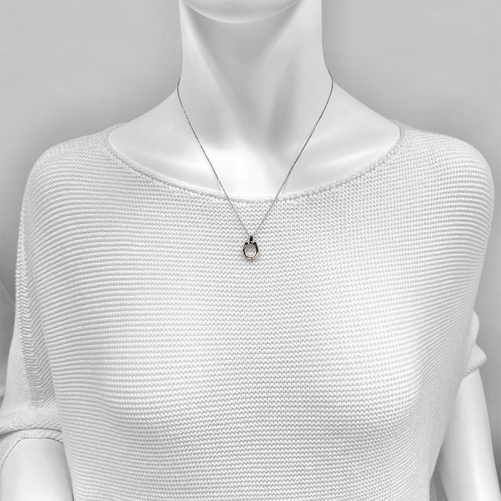 Horseshoe necklace / BSN-683