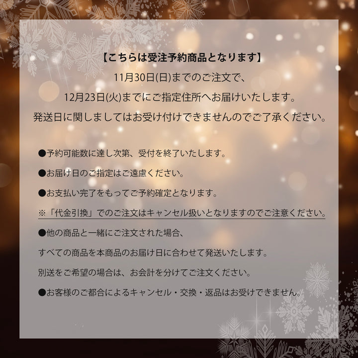 【受注商品】ダンシングストーンネックレス / PTN-185〜196