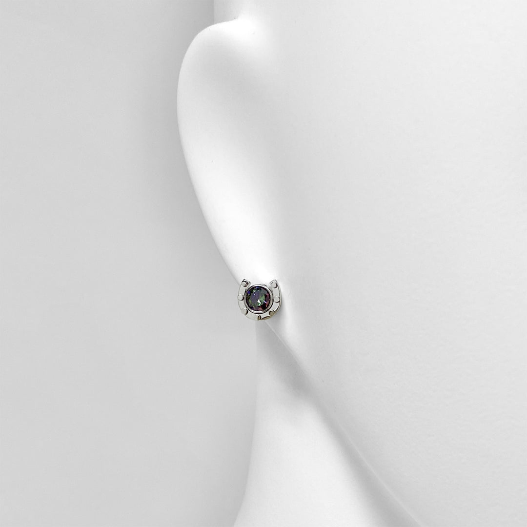 Horseshoe earrings (single ear) / SGP-201