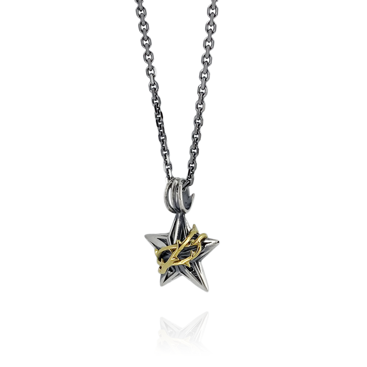THORN STAR PENDANT M K10YG × SV / X0296