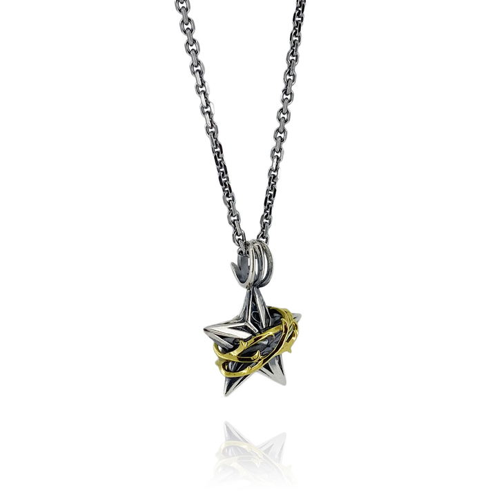 THORN STAR PENDANT M K10YG × SV / X0296