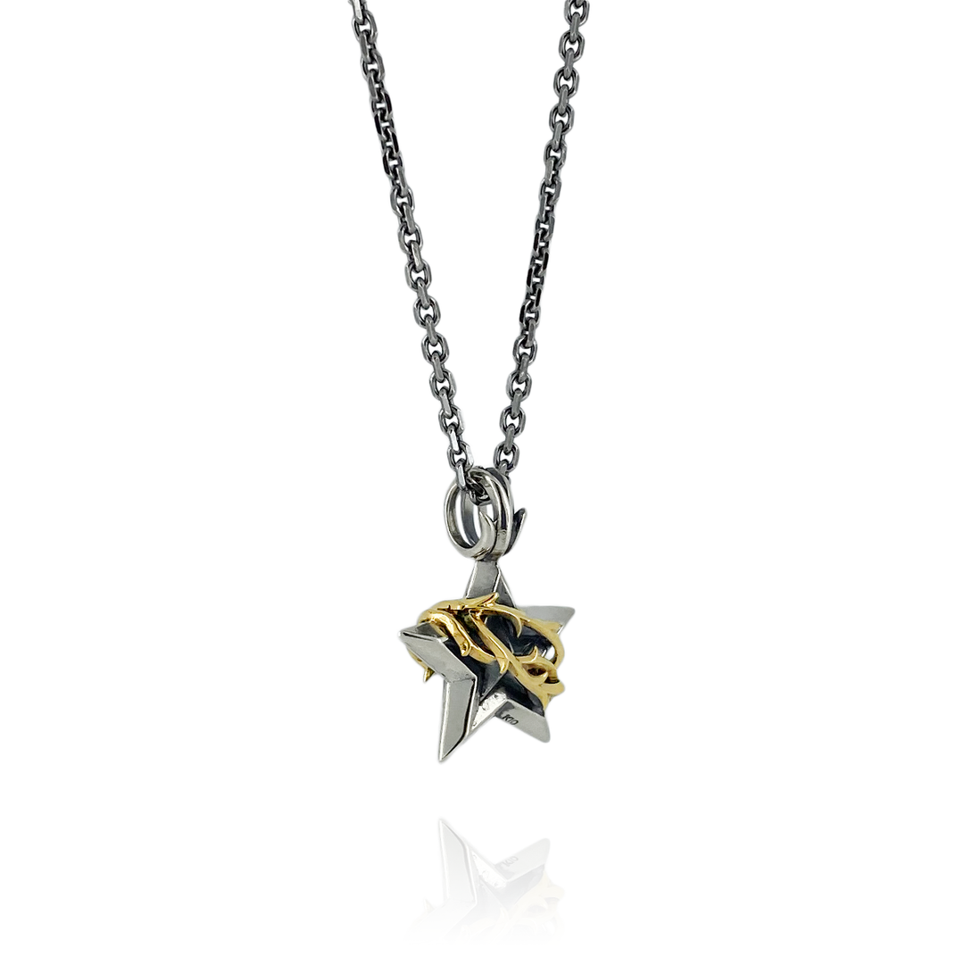 THORN STAR PENDANT M K10YG × SV / X0296 – BLESS