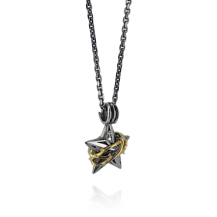 THORN STAR DIAMOND PENDANT M K10YG × SV / XP-076
