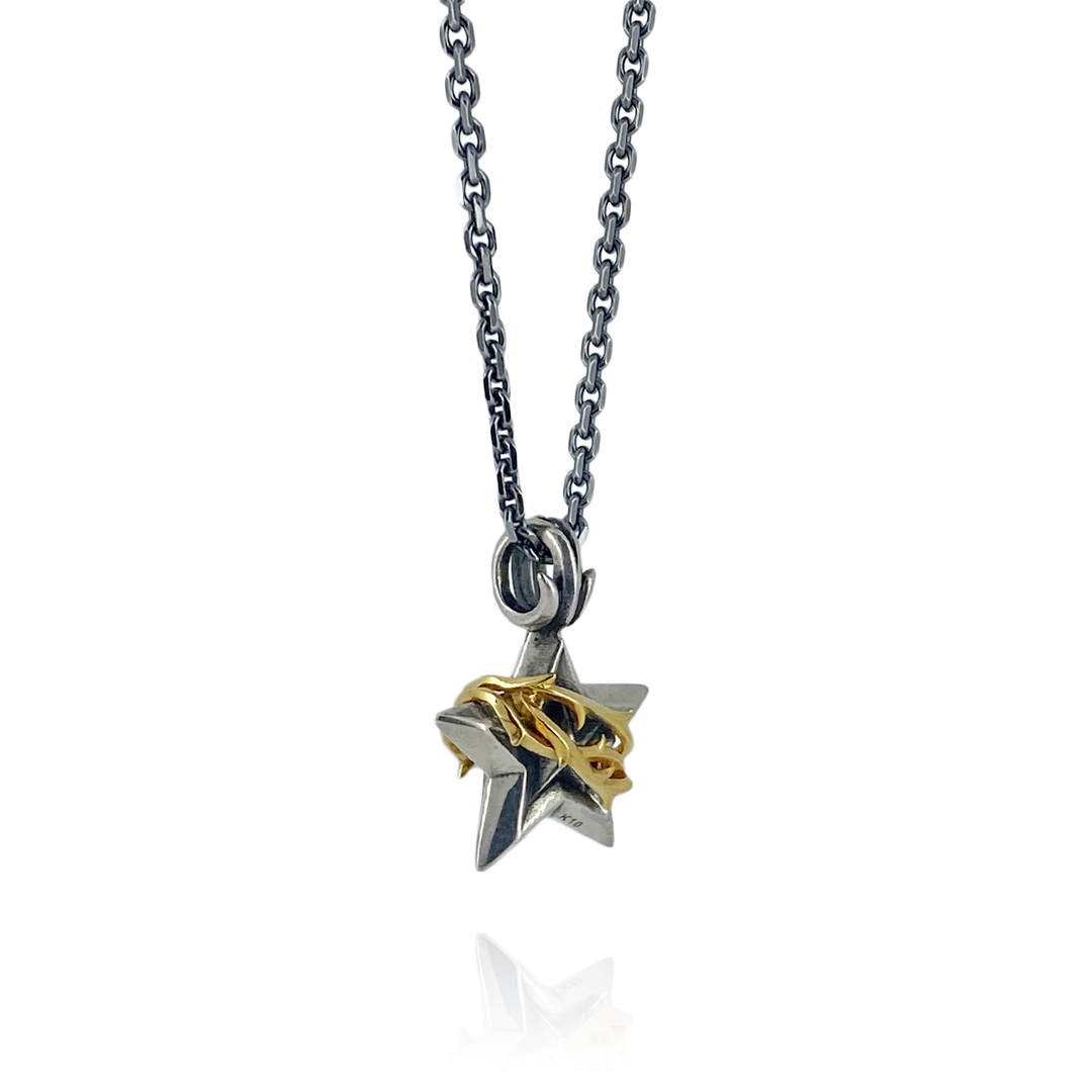 THORN STAR DIAMOND PENDANT M K10YG × SV / XP-076