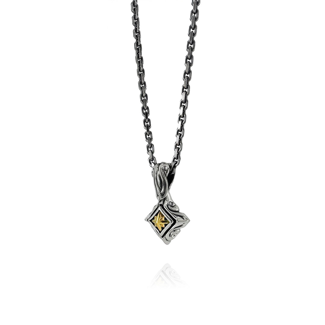 TRIPLE X EDITION URBAN TRIBAL PENDANT S SV × K10YG / XP-144