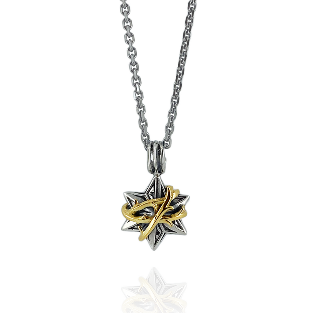 THORN HEXAGRAM PENDANT M SV × K10YG / XP-224 – BLESS